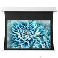 ViewScreen Annex 16:10 113" 243*152 (размер белого поля) White Casing (с ИК пультом)