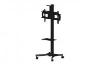 v8_666_b9d v8_666_b9d