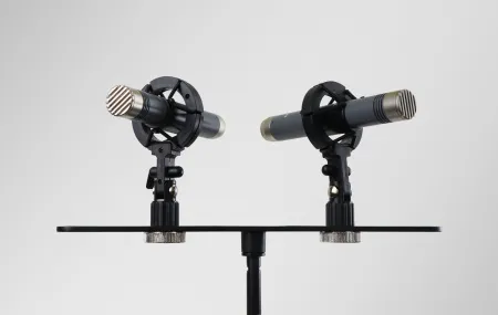 Купить AuraSonics AP22-MP по выгодной цене в Екатеринбурге