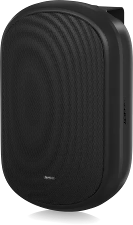Купить Tannoy DVS 601 по выгодной цене в Екатеринбурге