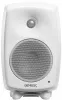 Купить Genelec 8030CW по выгодной цене в Екатеринбурге