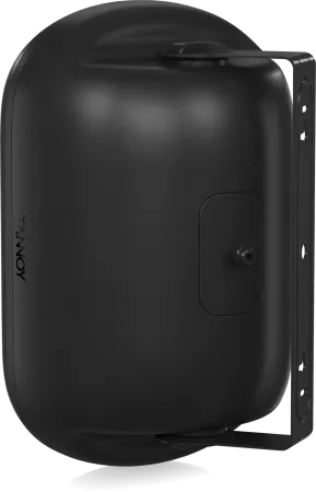 Купить Tannoy DVS 801 по выгодной цене в Екатеринбурге