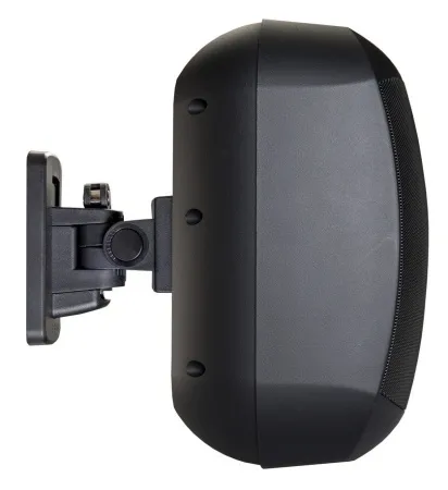 Купить BIAMP MASK6C-BL по выгодной цене в Екатеринбурге