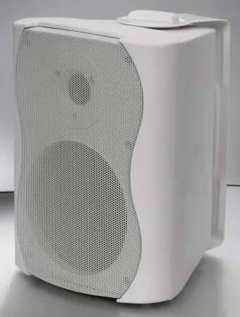 Купить SVS Audiotechnik WS-20 White по выгодной цене в Екатеринбурге