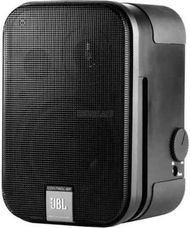 Купить JBL Control 2P/230 по выгодной цене в Екатеринбурге