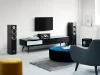 Купить DALI GRILLE SPEKTOR 6 BLACK по выгодной цене в Екатеринбурге
