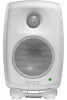 Купить Genelec 8010AW по выгодной цене в Екатеринбурге