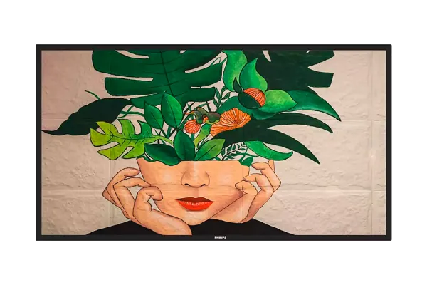 Philips 43BDL4550D/00 43