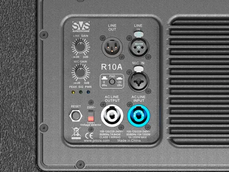 Купить SVS Audiotechnik R10A по выгодной цене в Екатеринбурге