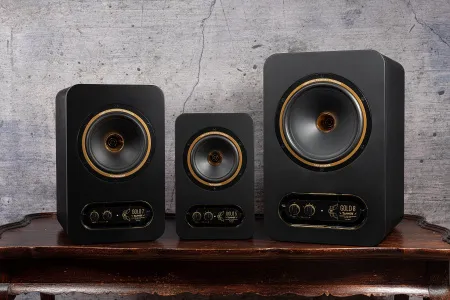 TANNOY GOLD 5