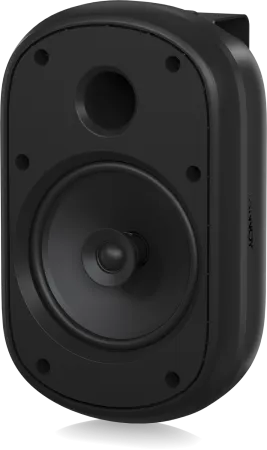 Купить Tannoy DVS 601 по выгодной цене в Екатеринбурге