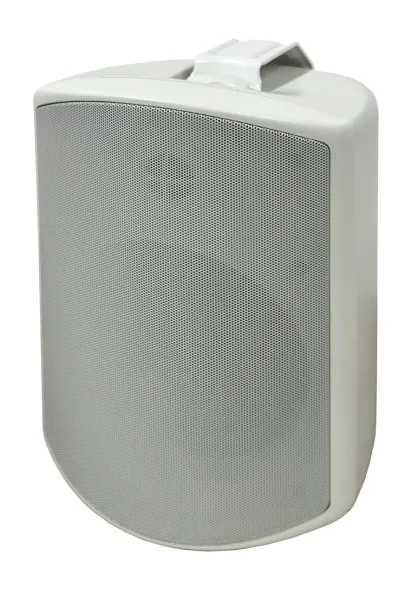 SVS Audiotechnik WSP-6W Pro