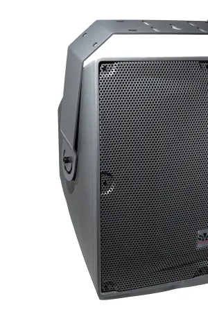Купить SVS Audiotechnik IP-15T по выгодной цене в Екатеринбурге