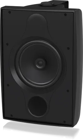 Купить TANNOY DVS 8T по выгодной цене в Екатеринбурге