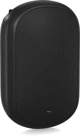 Купить Tannoy DVS 801 по выгодной цене в Екатеринбурге