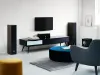 Купить DALI GRILLE SPEKTOR 6 BLACK по выгодной цене в Екатеринбурге