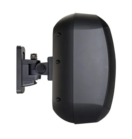 Купить BIAMP MASK6CT-BL по выгодной цене в Екатеринбурге