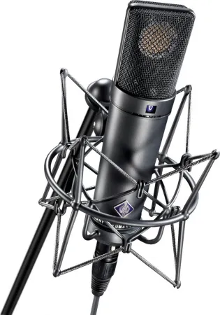 Купить NEUMANN U 89 i по выгодной цене в Екатеринбурге