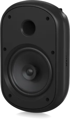 Купить Tannoy DVS 801 по выгодной цене в Екатеринбурге