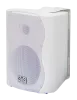 Купить SVS Audiotechnik WS-30 White по выгодной цене в Екатеринбурге