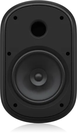 Купить Tannoy DVS 801 по выгодной цене в Екатеринбурге