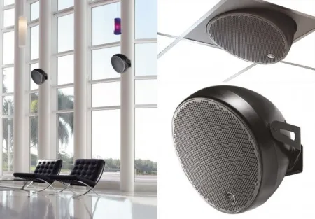 Купить DAS Audio OVI 12 по выгодной цене в Екатеринбурге