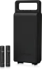 Купить BEHRINGER C-2 DARK EDITION по выгодной цене в Екатеринбурге