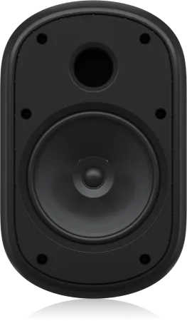 Купить Tannoy DVS 601 по выгодной цене в Екатеринбурге