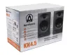 Купить AuraSonics KN4.5 по выгодной цене в Екатеринбурге