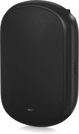 Купить Tannoy DVS 801 по выгодной цене в Екатеринбурге