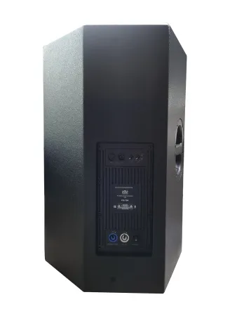 Купить SVS Audiotechnik FS-15A DSP по выгодной цене в Екатеринбурге