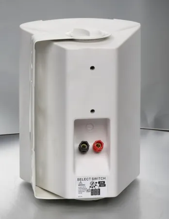 Купить SVS Audiotechnik WS-20 White по выгодной цене в Екатеринбурге