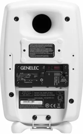 Купить Genelec 8030CW по выгодной цене в Екатеринбурге
