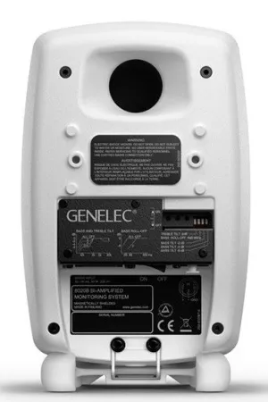 Купить Genelec 8020DWM по выгодной цене в Екатеринбурге