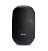 Купить BIAMP MASK6CT-BL по выгодной цене в Екатеринбурге