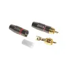 Купить INVOTONE RCA500M/RD за 169 ₽