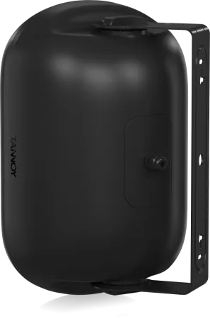 Купить Tannoy DVS 601 по выгодной цене в Екатеринбурге