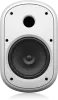 Купить Tannoy DVS 801-WH по выгодной цене в Екатеринбурге