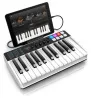 Купить IK MULTIMEDIA iRig Keys I/O 25 по выгодной цене в Екатеринбурге