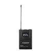 Купить Pasgao PAW-920 Rx_2x PBT-801 TxB по выгодной цене в Екатеринбурге