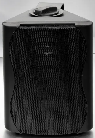 Купить SVS Audiotechnik WS-20 Black по выгодной цене в Екатеринбурге