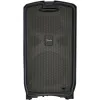 Купить FENDER Passport® Event Series 2 230V EU по выгодной цене в Екатеринбурге