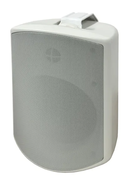 SVS Audiotechnik WSP-6W Pro