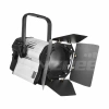 Купить ANZHEE PRO Spectrum Fresnel W 300 по выгодной цене в Екатеринбурге