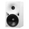 Купить Genelec 8380AW по выгодной цене в Екатеринбурге