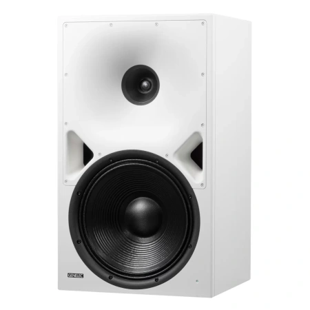 Купить Genelec 8380AW по выгодной цене в Екатеринбурге