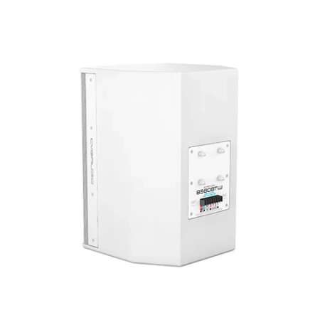 Купить CVGAUDIO BS808TW по выгодной цене в Екатеринбурге