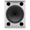 Купить TANNOY VX 15HP-WH по выгодной цене в Екатеринбурге