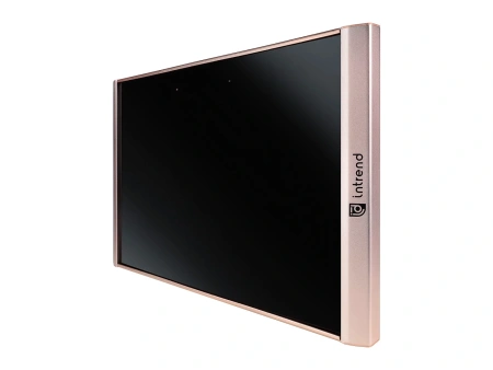 Купить Intrend ICS-IR-TX по выгодной цене в Екатеринбурге