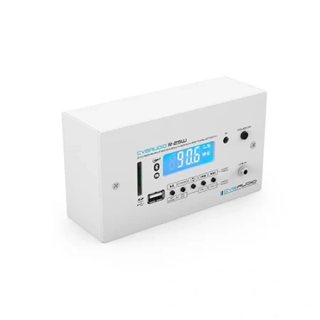 Купить CVGAUDIO R-25W по выгодной цене в Екатеринбурге